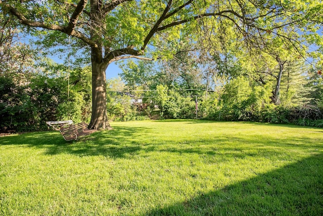 4717 176th St, Country Club Hills, IL 60478 - view of grassy yard