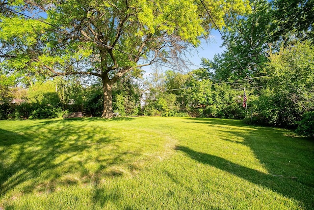 4717 176th St, Country Club Hills, IL 60478 - view of green lawn