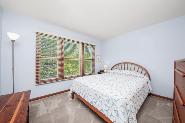 1644 Lilac Dr, Crystal Lake, IL 60014 - photo 26
