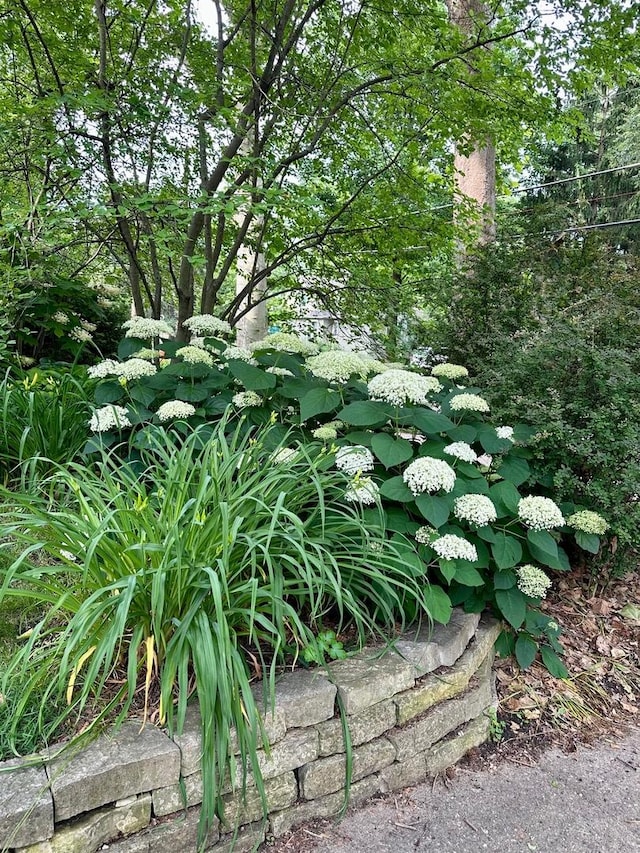 402 S Coler Ave, Urbana, IL 61801 - exterior view