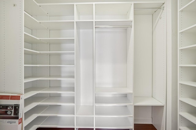 461 N Jonathan Dr Unit 104, Palatine, IL 60074 - view of walk in closet