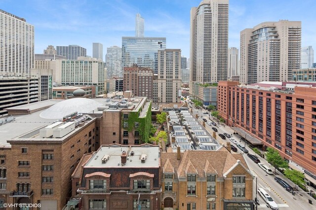 10 E Ontario St Unit 1303, Chicago, IL 60611 - skyline view