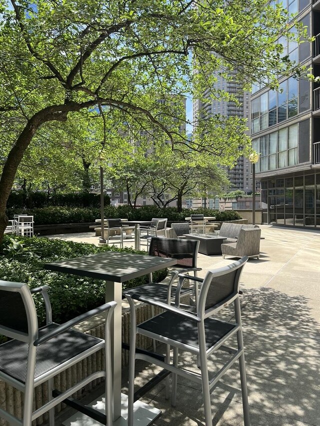 10 E Ontario St Unit 1303, Chicago, IL 60611 - view of patio