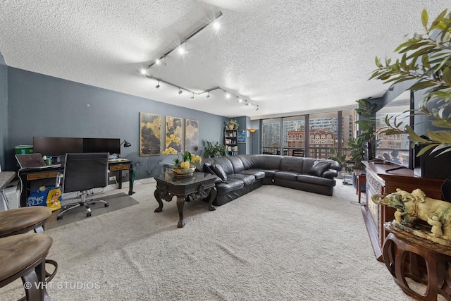 10 E Ontario St Unit 1303, Chicago, IL 60611 - living room with rail lighting, a textured ceiling, carpet floors, and an office area