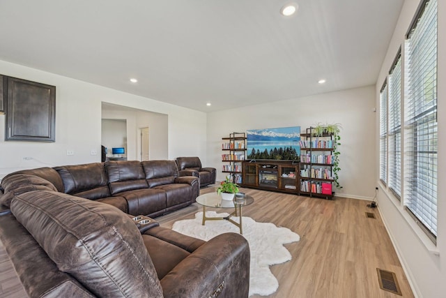 1486 Keller St, Elburn, IL 60119 - living area featuring light wood-style flooring, plenty of natural light, recessed lighting, and baseboards