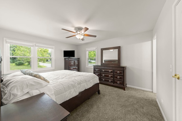 2501 59th St, Woodridge, IL 60517 - photo 12