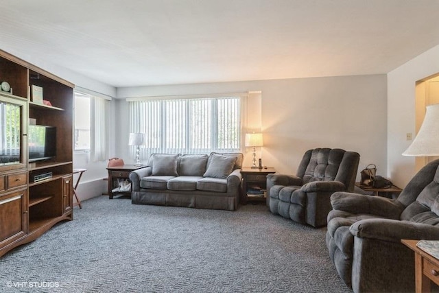 941 N NW Hwy Unit 1A, Park Ridge, IL 60068 - carpeted living area featuring plenty of natural light