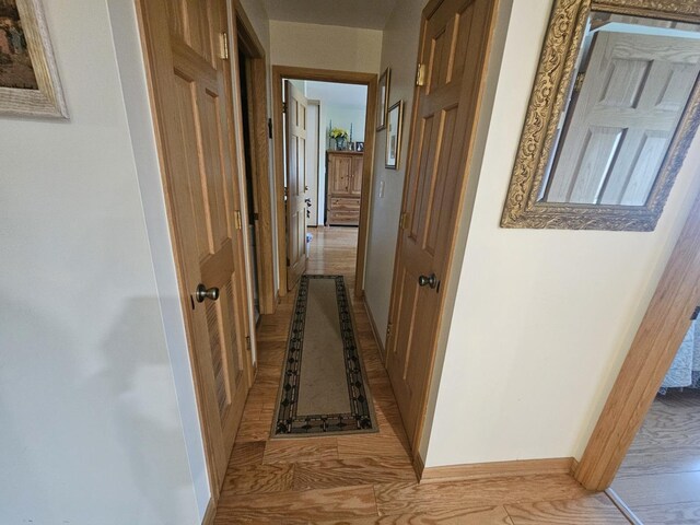 3110 Pheasant Creek Dr Unit 304, Northbrook, IL 60062 - hall with baseboards