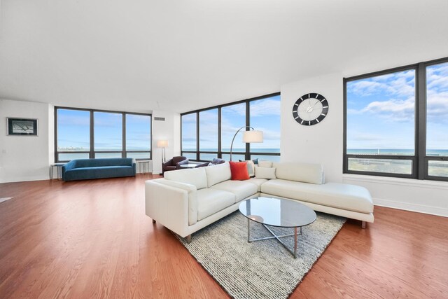 600 N Lake Shore Dr Unit 1105, Chicago, IL 60611 - living room with wood finished floors, plenty of natural light, baseboards, and a wall of windows