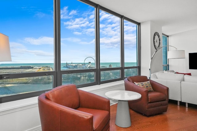 600 N Lake Shore Dr Unit 1105, Chicago, IL 60611 - living area featuring wood finished floors