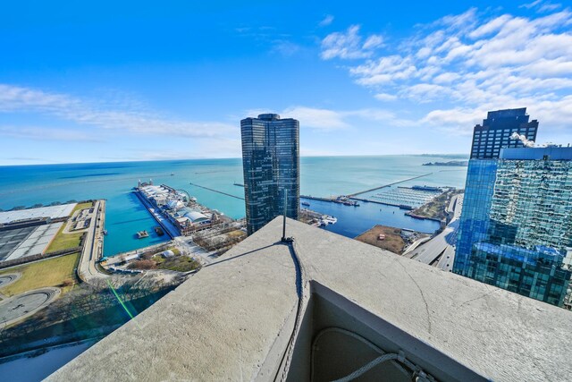 600 N Lake Shore Dr Unit 1105, Chicago, IL 60611 - water view