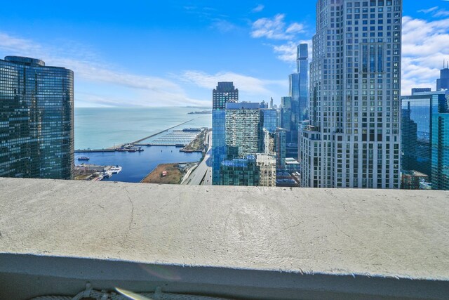 600 N Lake Shore Dr Unit 1105, Chicago, IL 60611 - water view with nearby urban area