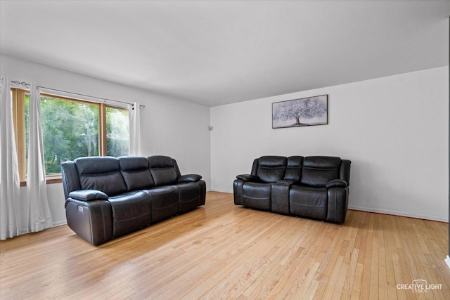 living area featuring wood-type flooring
