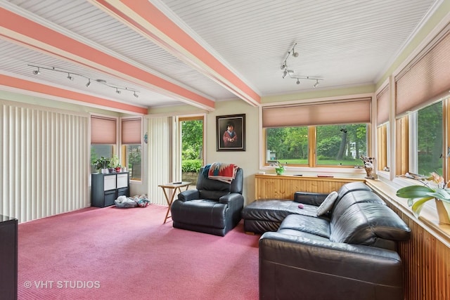 5720 Dunham Rd, Downers Grove, IL 60516 - sunroom with track lighting