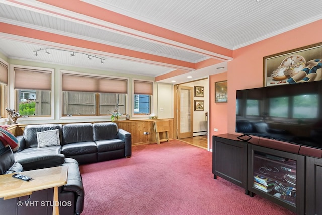 5720 Dunham Rd, Downers Grove, IL 60516 - carpeted living room with rail lighting, healthy amount of natural light, and ornamental molding