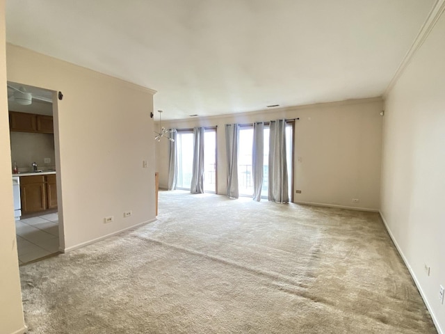 1219 Williamsport Dr Unit 28-3, Westmont, IL 60559 - spare room with light carpet, ornamental molding, and baseboards