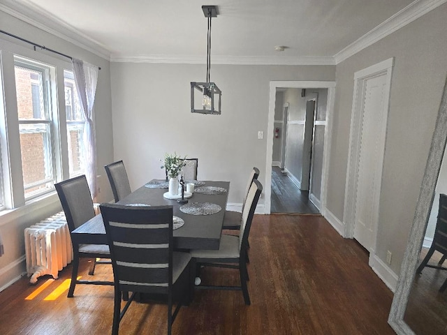 1438 Maple Ave, Berwyn, IL 60402 - dining area with wood finished floors, ornamental molding, baseboards, and radiator