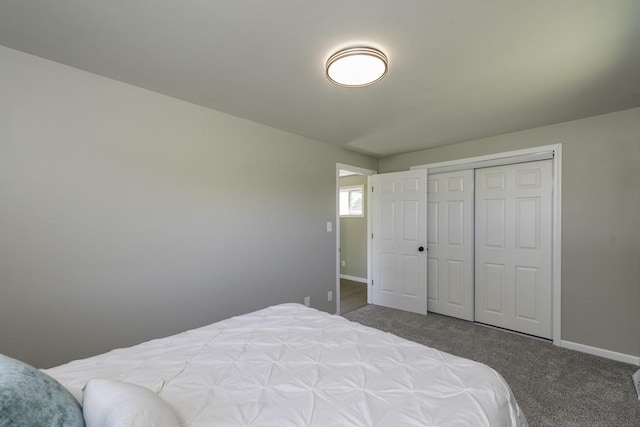 6008 240th Ave, Paddock Lake, WI 53168 - bedroom with baseboards, carpet flooring, and a closet