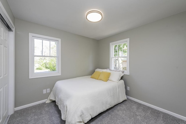 6008 240th Ave, Paddock Lake, WI 53168 - bedroom with a closet, carpet flooring, and baseboards