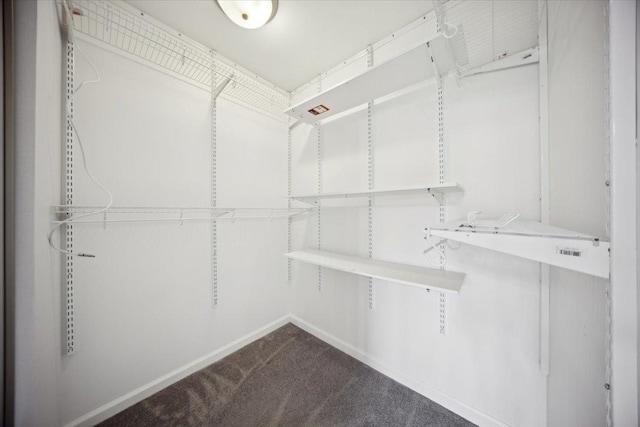 1242 N Knollwood Dr Unit 1242, Palatine, IL 60067 - walk in closet with dark carpet
