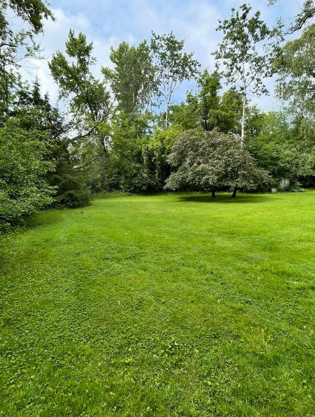 25420 W Golfview Ave, Antioch, IL 60002 - photo 5