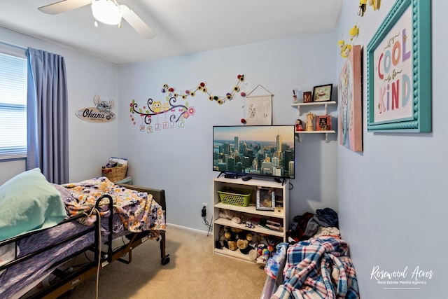 857 Edwin Dr, Bourbonnais, IL 60914 - bedroom with carpet and ceiling fan