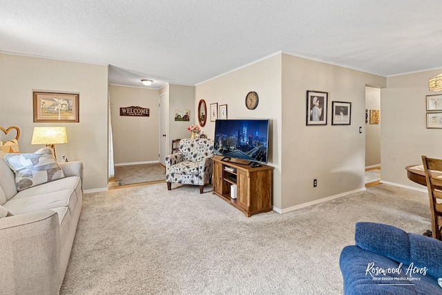 857 Edwin Dr, Bourbonnais, IL 60914 - carpeted living area with crown molding, baseboards, and a textured ceiling