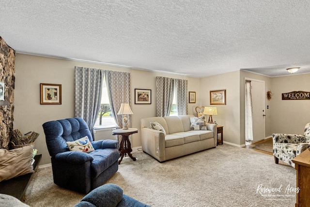 857 Edwin Dr, Bourbonnais, IL 60914 - living area with carpet flooring, a textured ceiling, crown molding, and baseboards