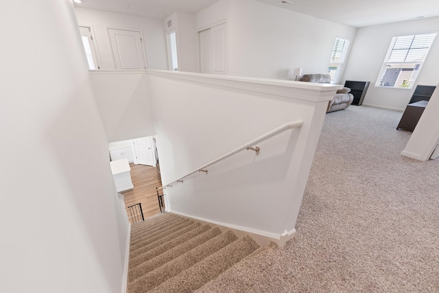 1391 Aspen Ln, Pingree Grove, IL 60140 - stairway with carpet flooring and baseboards