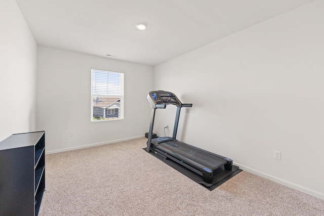 1391 Aspen Ln, Pingree Grove, IL 60140 - workout area with carpet flooring