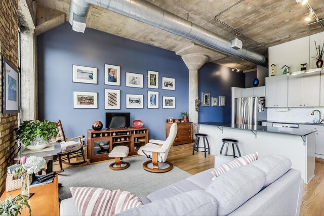 1800 W Roscoe St Unit 432, Chicago, IL 60657 - living area featuring light wood-style flooring and ornate columns
