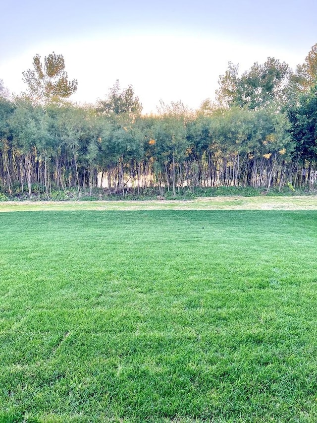 view of green lawn