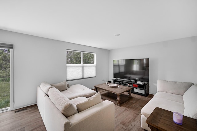 living room featuring wood finished floors