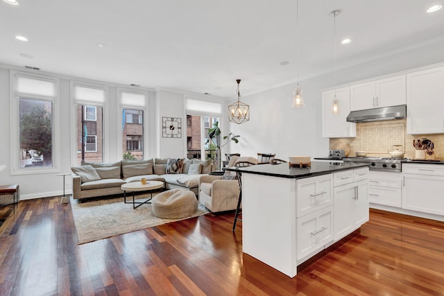 1359 W Fullerton Ave Unit 2E, Chicago, IL 60614 - kitchen with under cabinet range hood, dark countertops, a kitchen island, open floor plan, and tasteful backsplash