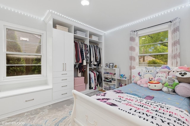 431 Elm Ave, Geneva, IL 60134 - bedroom featuring a closet