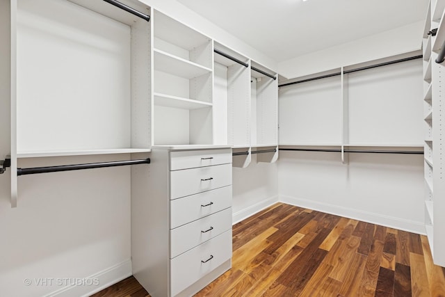 340 E Randolph St Unit 4806, Chicago, IL 60601 - walk in closet featuring wood finished floors