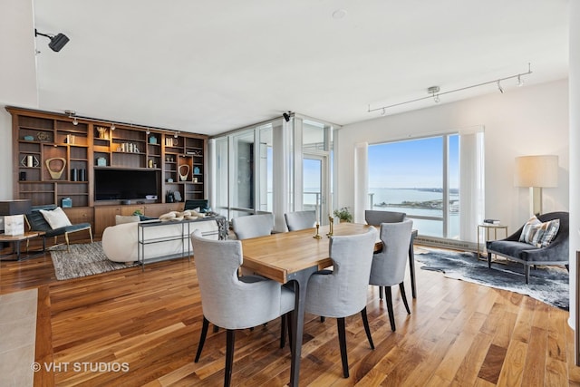 340 E Randolph St Unit 4806, Chicago, IL 60601 - dining space featuring light wood-style floors