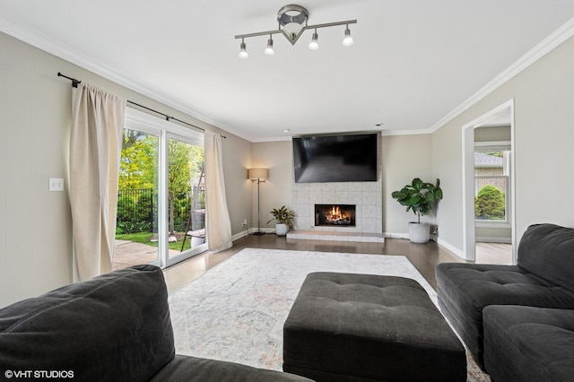 4141 Rutgers Ln, Northbrook, IL 60062 - living room featuring wood finished floors, crown molding, a tile fireplace, and baseboards