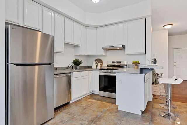 918 W 35th Pl, Chicago, IL 60609 - kitchen featuring appliances with stainless steel finishes, under cabinet range hood, white cabinetry, and a sink
