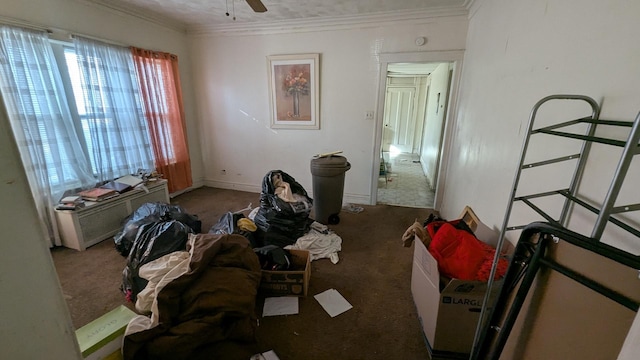 3718 W Polk St, Chicago, IL 60624 - photo 7
