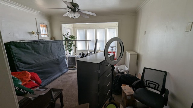 3718 W Polk St, Chicago, IL 60624 - photo 9