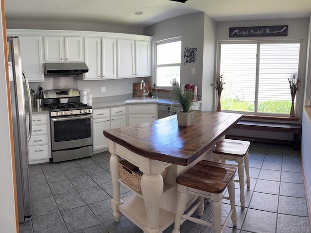 569 Arbor Ln, South Elgin, IL 60177 - kitchen with appliances with stainless steel finishes, a sink, under cabinet range hood, white cabinets, and tile patterned floors