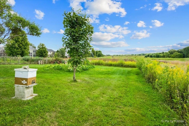 3N369 Lafox Rd, Saint Charles, IL 60175 - view of grassy yard