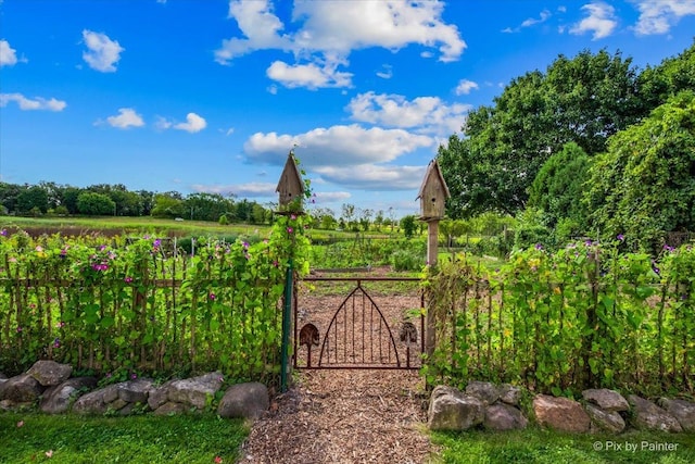 3N369 Lafox Rd, Saint Charles, IL 60175 - gate featuring fence