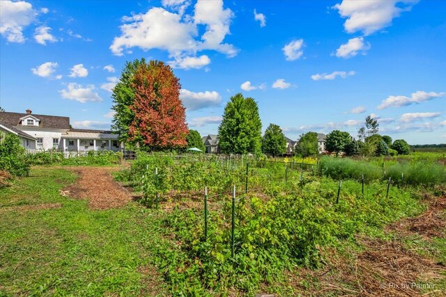 3N369 Lafox Rd, Saint Charles, IL 60175 - view of yard