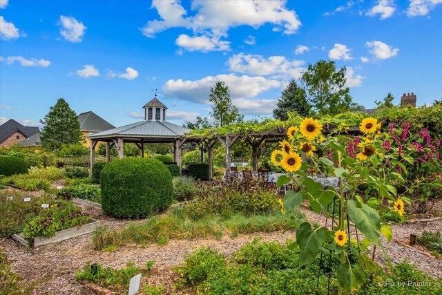 3N369 Lafox Rd, Saint Charles, IL 60175 - view of yard featuring a gazebo and a garden