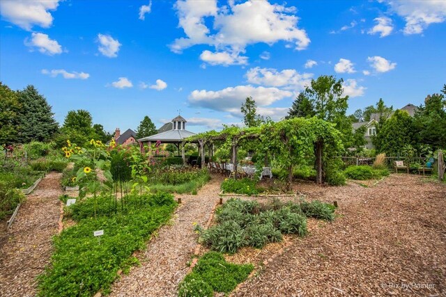 3N369 Lafox Rd, Saint Charles, IL 60175 - view of yard featuring a gazebo