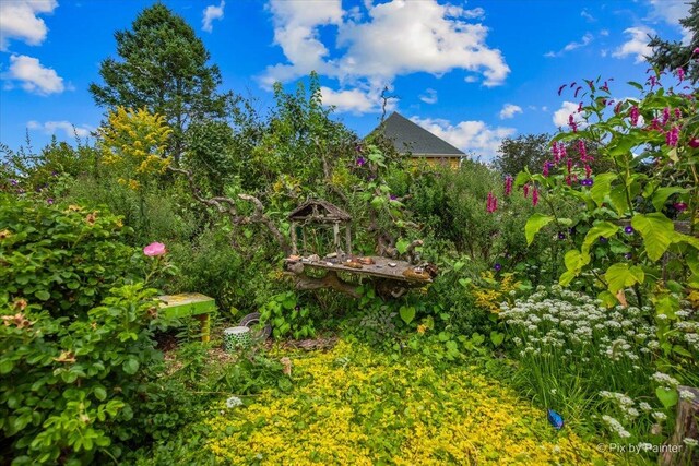 3N369 Lafox Rd, Saint Charles, IL 60175 - view of yard