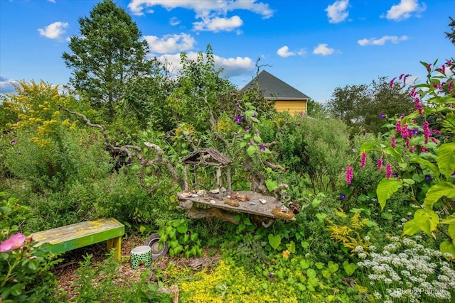 3N369 Lafox Rd, Saint Charles, IL 60175 - view of yard
