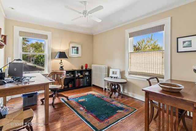 2037 Highland Ave, Wilmette, IL 60091 - home office with radiator, crown molding, wood finished floors, ceiling fan, and baseboards